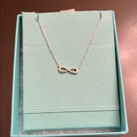 Tiffany & Co. Sterling Silver Infinity Necklace Set - Picture 2 of 9